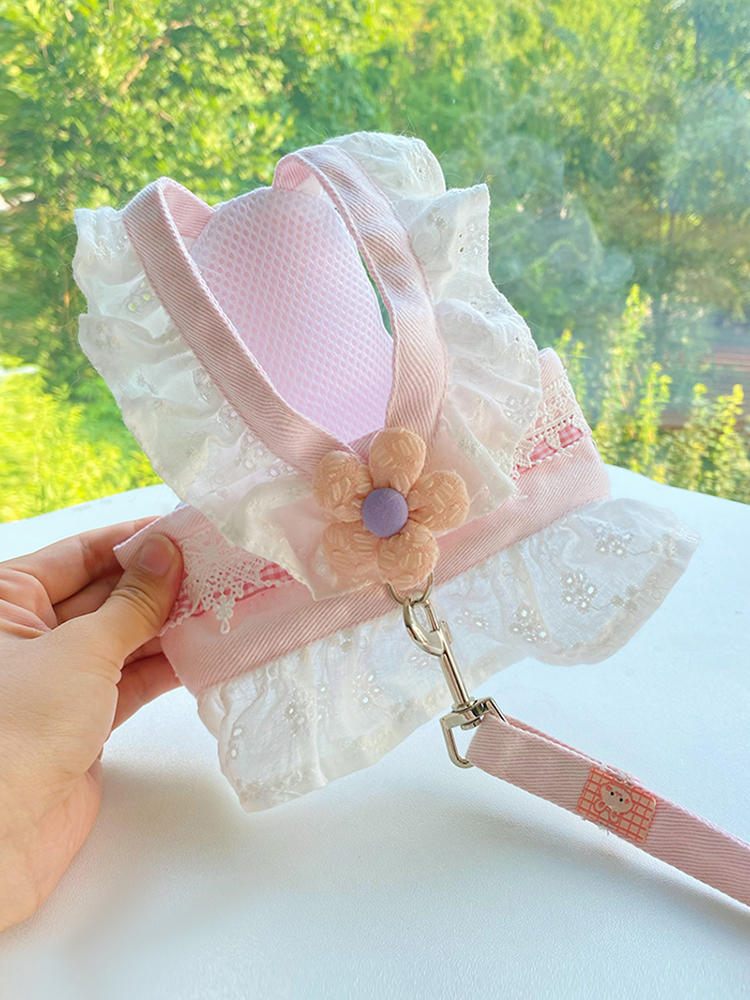 Corde de traction en émail dou - Summer Clothing Release avis et prix