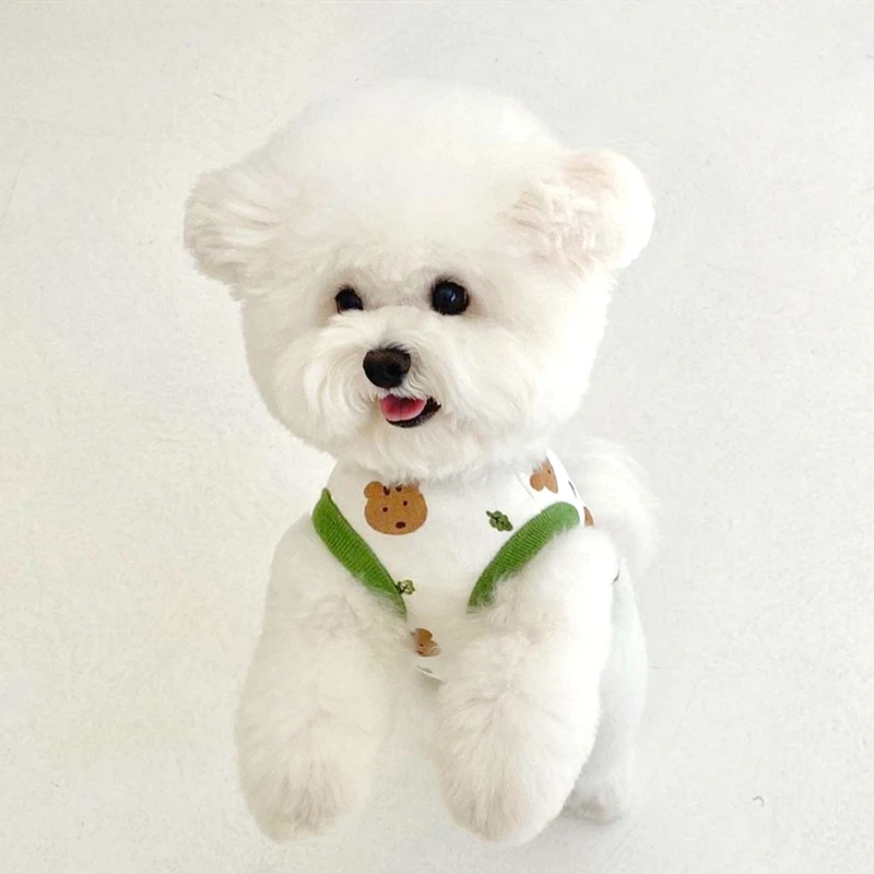 Vêtements pour animaux de comp - Summer Jumper Clothing avis et prix
